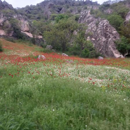 Сhachkari Bed & Breakfast Vardzia  Exterior photo