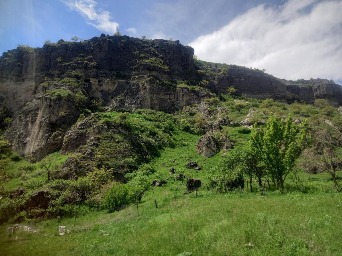 Сhachkari Bed & Breakfast Vardzia  Exterior photo