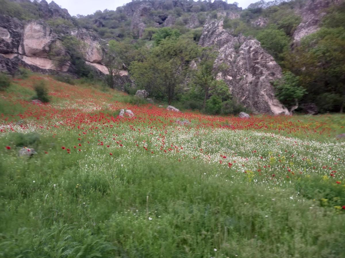 Сhachkari Bed & Breakfast Vardzia  Exterior photo